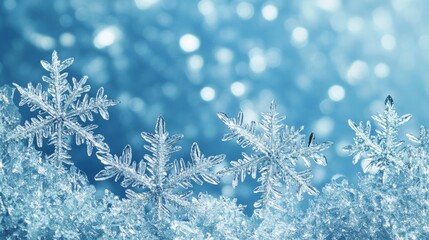 Frosty ice border background