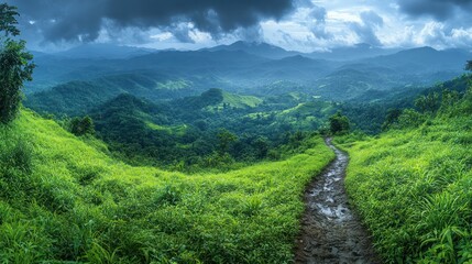 Sticker - Serene Mountain Trail