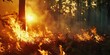 © AkuAku - Forest fire threatens the woodland ecosystem
