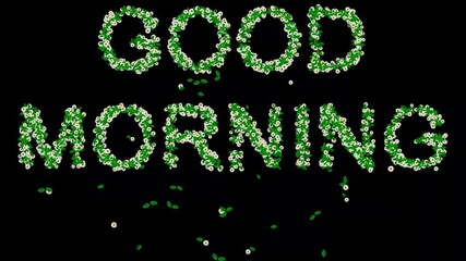 Wall Mural - Good Morning text with green leaves and white daisy flowers on plain black background