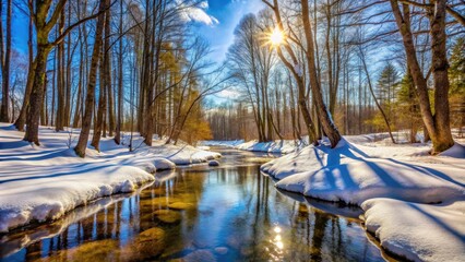 Poster - Early spring forest landscape with snow melting into a stream on a sunny day , snow, forest, landscape, early spring