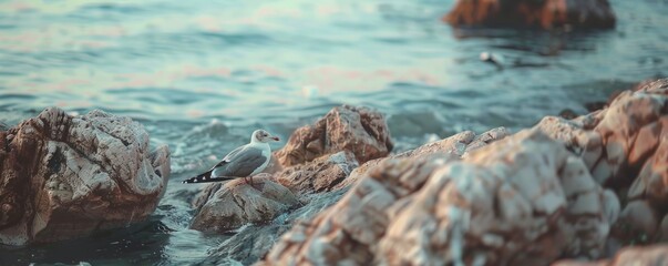 Wall Mural - Serene seagull resting on rocky shore, 4K hyperrealistic photo