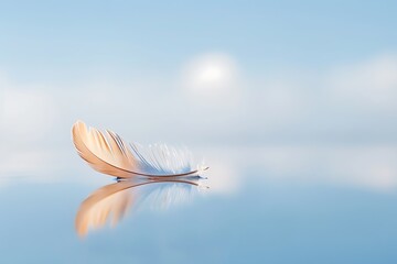 Minimalist image of a single feather floating