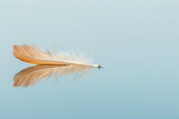 Minimalist image of a single feather floating