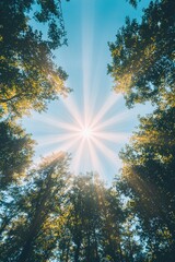 Wall Mural - Radiant Sunlight Bursting Through the Lush Forest Canopy