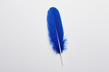 Wall Mural - Blue Feather Isolated on White Background for Art and Design