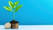 © Naput - Potential growth, plant sprouting from coins, flat design illustration