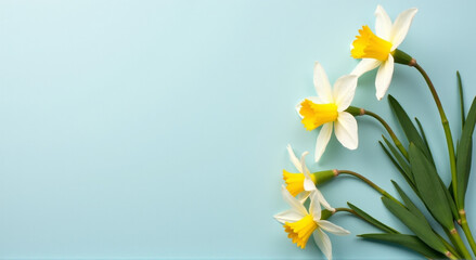 Wall Mural - yellow flowers