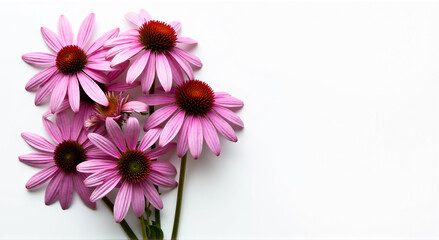 Poster - bouquet of flowers