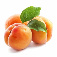 Poster - Apricot on Clear Background isolated on white 