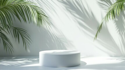 Fototapete - White blank cylindrical podium or pedestal for product display with palm leaf shadows Summer theme 3D render
