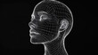 © Iswanto - A wireframe model of a woman's head with her eyes closed.