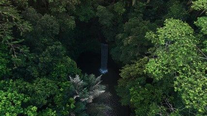 Wall Mural - Waterfall in tropical rain forest on Bali island. Aerial drone view