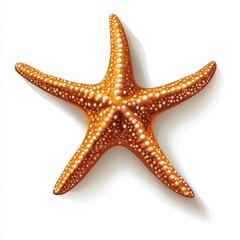 Wall Mural - vector graphic of a starfish
