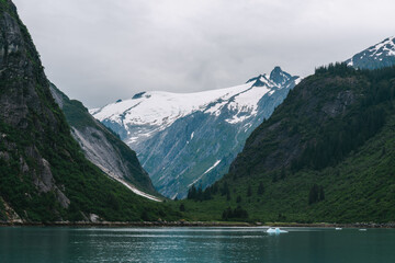 Wall Mural - Tracy Arm Fjord in southeast Alaska near Juneau 