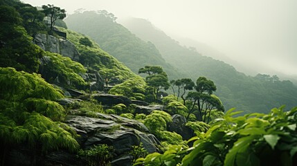 Sticker - green forest in fog  