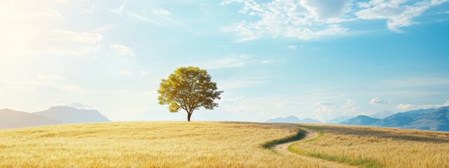 Poster -  A solitary tree stretches in a wheat field; sun-kissed mountains loom in the distance