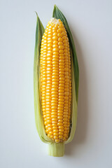 Yellow Corn,  A single ear of vibrant yellow corn placed against a clean white background, showcasing its natural beauty and fresh appearance