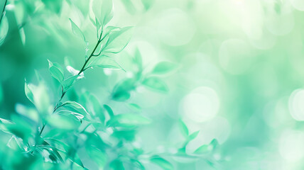 Wall Mural - green leaves of bushes and trees in the sunlight close-up