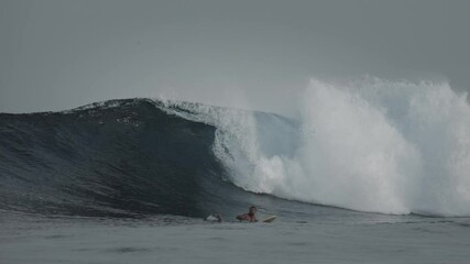 Poster - Surfer tries to catch the wave but decides to cancel his ride at the last moment