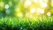 © kichigin19 - Juicy spring green grass in the sunlight close-up