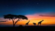 © Penatic Studio - Three Giraffe Silhouettes Against a Sunset Sky with Stars