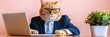 © Ilja - Serious Cat Wears Glasses, Suit While Working in The Home Office Feline Fun with Remote Work