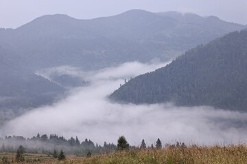 Picturesque view of beautiful mountains covered with fog