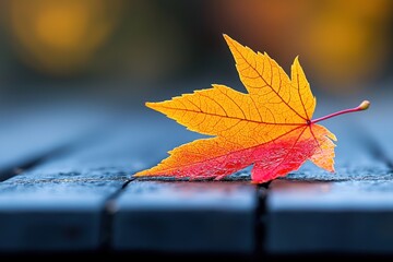 Wall Mural - artistic photograph of an orange maple leaf on wood
