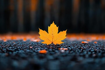 Wall Mural - bright yellow leaf on a dark pebbled surface outdoors