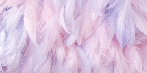 Pastel White feather background abstract texture