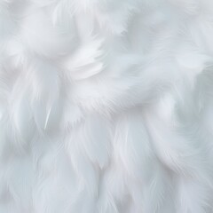 Pastel White feather background abstract texture