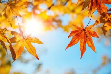 Wall Mural - Maple leaves in autumn sunny day , ai