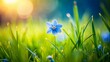 © Kukar Studio - A beautiful small blue flower on lush green grass