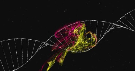 Poster - DNA strand and colorful abstract animation over black background