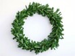 © Vlad - Green Christmas Wreath. Undecorated Festive Chaplet for Holiday Decorating