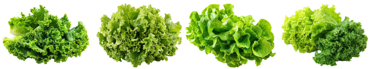 Sticker - Clipped path of fresh lettuce isolated on white background