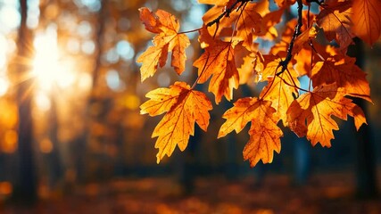 Wall Mural - Bright orange autumn leaves illuminated by sunlight in a forest, evoking a sense of fall, perfect for Thanksgiving and seasonal decor themes