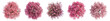 © Rawpixel.com - Top view pink tree png cut out element set