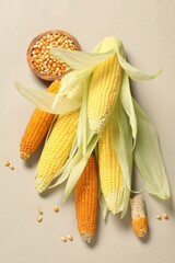 Poster - Many corncobs with green husks and kernels on beige background, flat lay