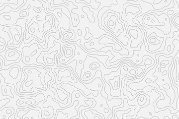 Abstract topographic map background. Geographic grid topographic line backdrop. Wavy outline texture on white background.