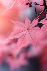 Pink maple leaves for autumn social media vertical background campaign