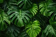 © Rawpixel.com - Tropical forest nature plant green.