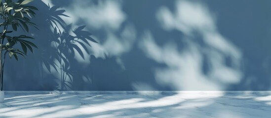Poster - 3D rendering of a minimalistic light background featuring blurred foliage shadows on a soft blue wall complemented by a marble floor Ideal backdrop for presentations