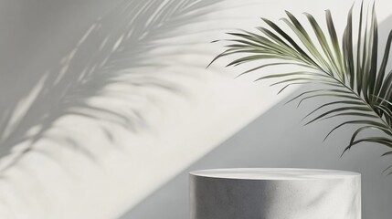 Poster - Empty gray cylinder stage podium with palm leaf shadow abstract geometric cosmetic showcase pedestal against a grey background Minimalist modern scene 3D rendered illustration