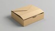© Oleksandr - Mailing Box: Electronic Mail Package Mock-Up with Opened Lid for Shipping
