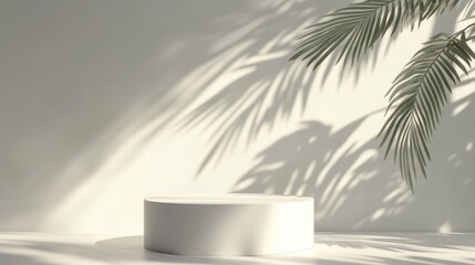 Fototapete - White blank cylindrical podium or pedestal for product display with palm leaf shadows Summer theme 3D render