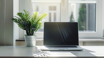 Wall Mural - A laptop and plant on a white desk in front of a window.