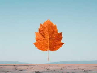 A vibrant orange leaf floating against a serene blue sky, capturing the beauty of autumn in a minimalist composition.