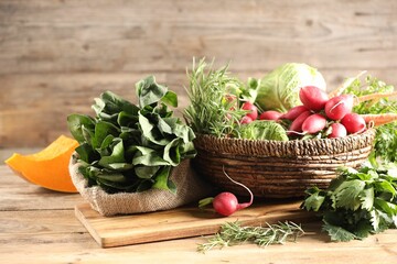 Poster - Different fresh herbs, cabbages, radishes and pumpkin on wooden table